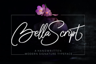 Bella Font Review: Elegant Script for Real Design Work