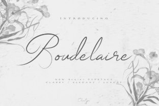 Boudelaire Font: Elevating Digital Brand Identity