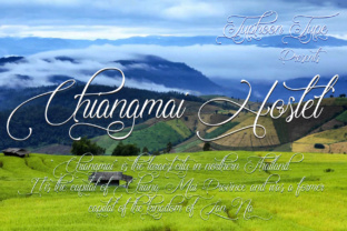 Chiangmai Hostel Font Review: Refined Script for Branding