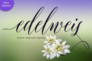 Edelweis Font: Elegant Script for Web Design