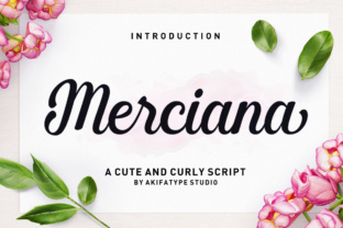 Merciana Font: A Web Designer’s Layout Review