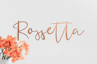 Rossetta Font: Elevating Digital Marketing Visuals