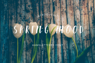 Spring Mood Font: Clean Display Type for Campaigns
