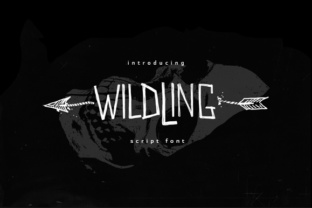 Wildwildling: A Fresh Script Font for Modern Brand Identity