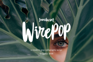Wirepop: A Modern Pop Calligraphy Font That Elevates Brand Identity